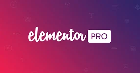 ELEMENTOR PRO VER. 3.35